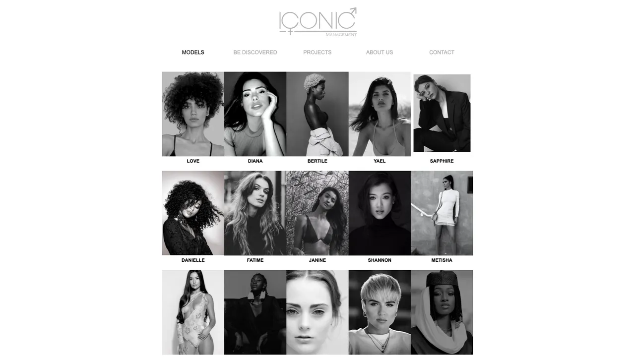 Iconic Management website front page